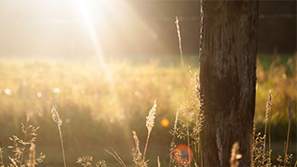 服务器攻击方式