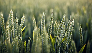 网页攻击器教程